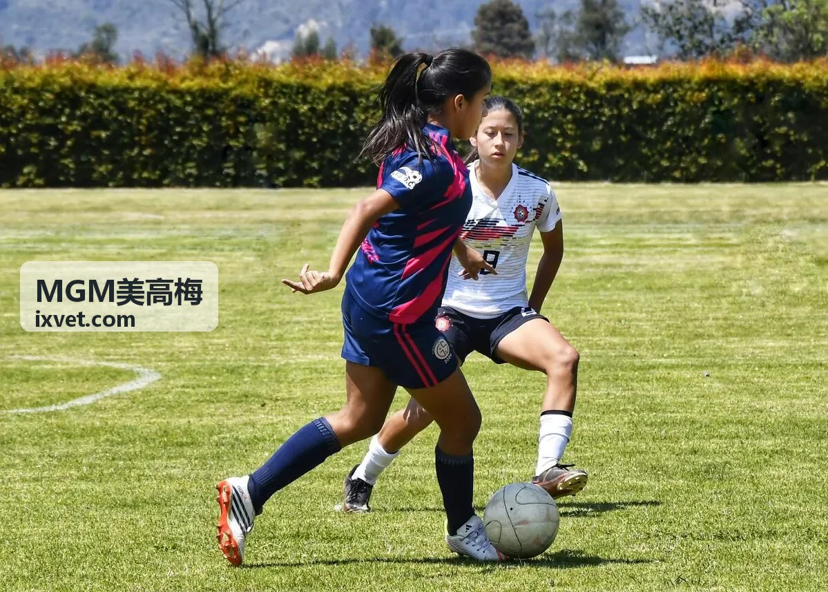 MGM美高梅奢华大堂与金色狮子雕塑