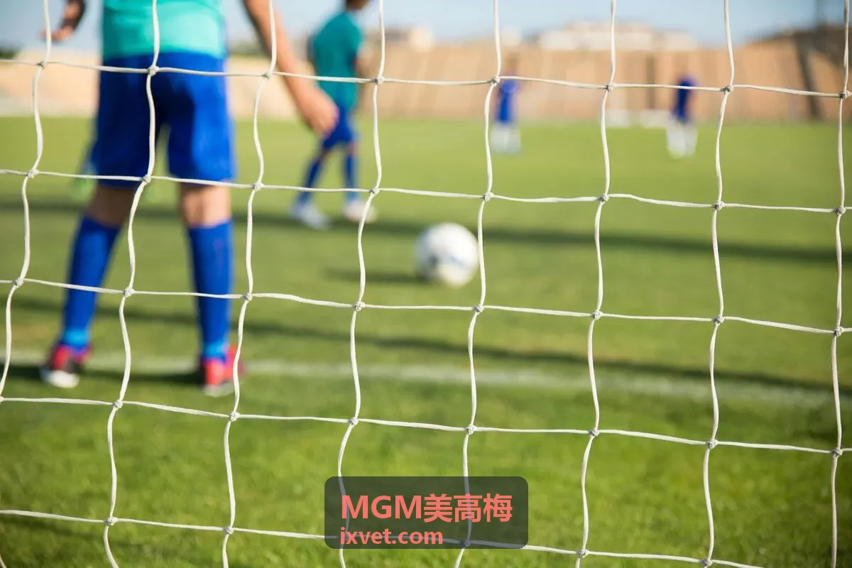 MGM美高梅百乐宫喷泉表演