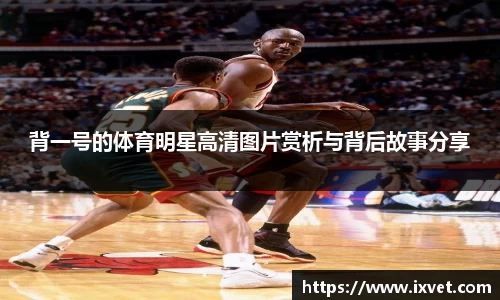 博鱼.体育官网