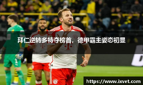 博鱼中国官方入口