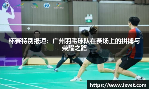 博鱼.体育官网