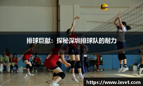 博鱼中国官方入口