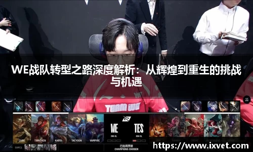 WE战队转型之路深度解析：从辉煌到重生的挑战与机遇