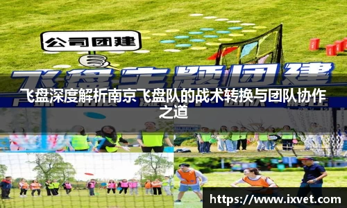 飞盘深度解析南京飞盘队的战术转换与团队协作之道