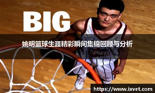 姚明篮球生涯精彩瞬间集锦回顾与分析