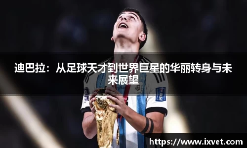 博鱼.体育官网