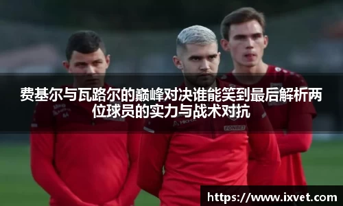 博鱼.体育官网