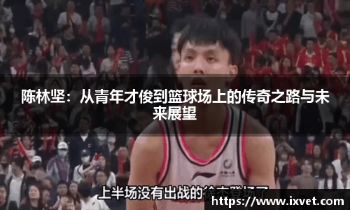 博鱼中国官方入口