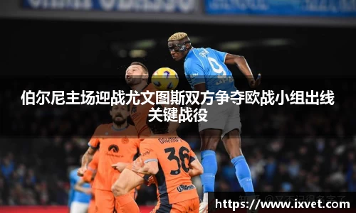 博鱼.boyu体育