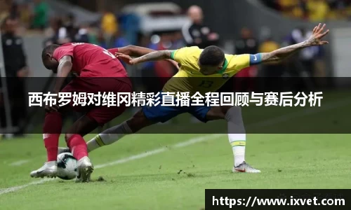 博鱼.体育官网