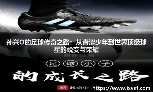 博鱼.体育官网