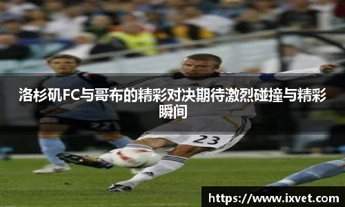 博鱼.boyu体育