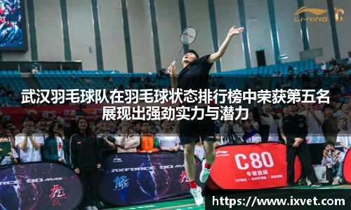 博鱼.体育官网